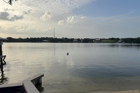 Land in Lake Placid, Florida № 1829579 - photo 3