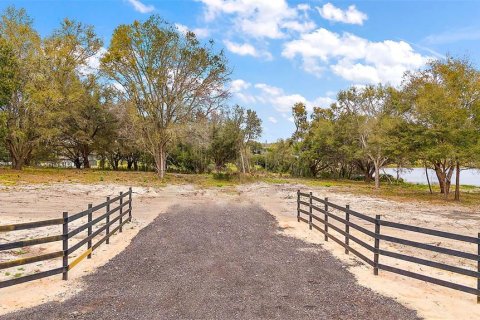 Land in Groveland, Florida № 1876788 - photo 2