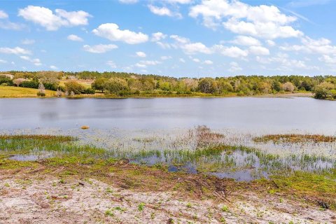 Land in Groveland, Florida № 1876788 - photo 11