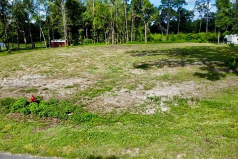 Terrain à Williston, Floride № 2105534