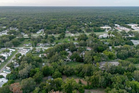 Land in Thonotosassa, Florida № 2219168 - photo 28
