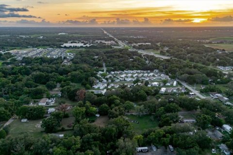 Land in Thonotosassa, Florida № 2219168 - photo 4