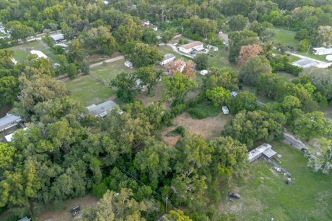 Land in Thonotosassa, Florida № 2219168 - photo 14