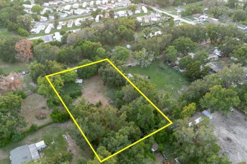 Land in Thonotosassa, Florida № 2219168 - photo 19