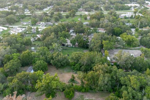 Land in Thonotosassa, Florida № 2219168 - photo 12