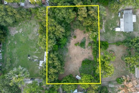 Land in Thonotosassa, Florida № 2219168 - photo 9