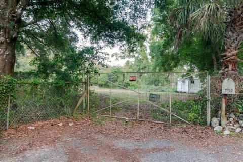 Land in Thonotosassa, Florida № 2219168 - photo 29
