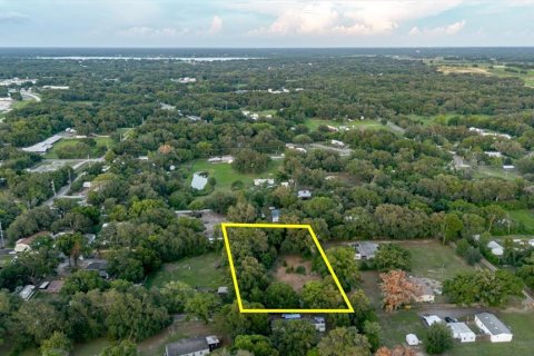 Land in Thonotosassa, Florida № 2219168 - photo 23
