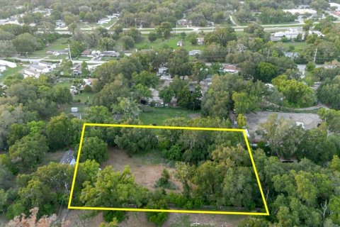 Land in Thonotosassa, Florida № 2219168 - photo 11