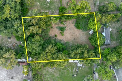 Land in Thonotosassa, Florida № 2219168 - photo 7
