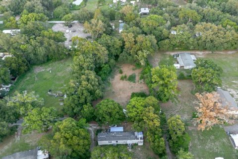 Land in Thonotosassa, Florida № 2219168 - photo 18