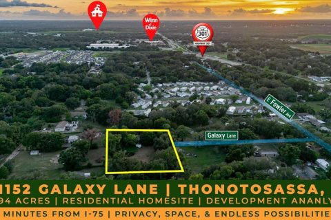 Land in Thonotosassa, Florida № 2219168 - photo 2