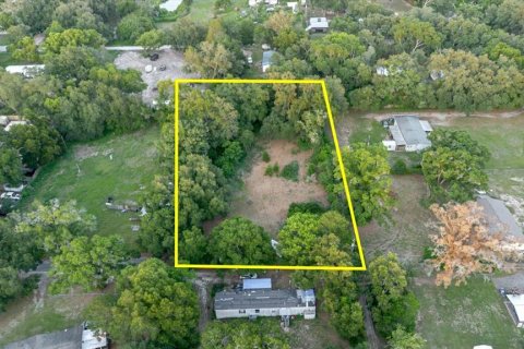 Land in Thonotosassa, Florida № 2219168 - photo 17