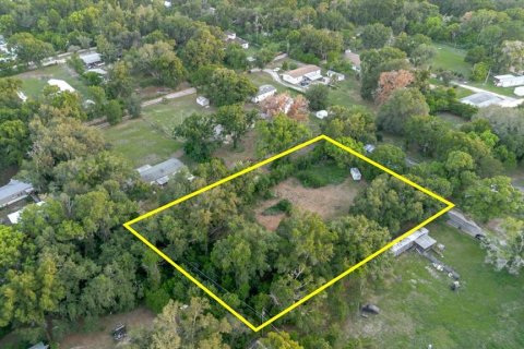 Land in Thonotosassa, Florida № 2219168 - photo 13