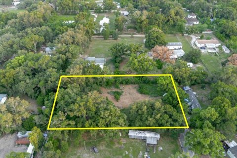Land in Thonotosassa, Florida № 2219168 - photo 15
