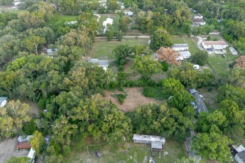 Land in Thonotosassa, Florida № 2219168 - photo 16