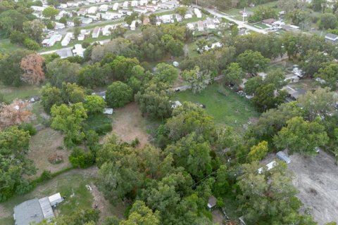 Land in Thonotosassa, Florida № 2219168 - photo 20