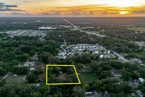Land in Thonotosassa, Florida № 2219168 - photo 3
