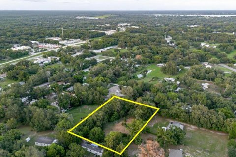 Land in Thonotosassa, Florida № 2219168 - photo 25