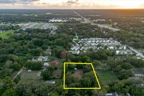 Land in Thonotosassa, Florida № 2219168 - photo 21