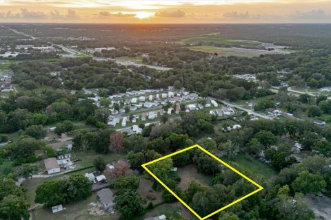 Land in Thonotosassa, Florida № 2219168 - photo 5