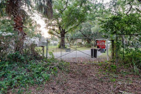 Land in Thonotosassa, Florida № 2219168 - photo 30