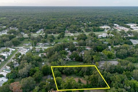 Land in Thonotosassa, Florida № 2219168 - photo 27