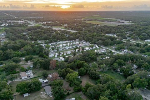 Land in Thonotosassa, Florida № 2219168 - photo 6