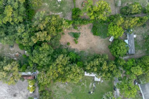 Land in Thonotosassa, Florida № 2219168 - photo 8