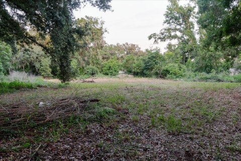 Terrain à Thonotosassa, Floride № 2219168