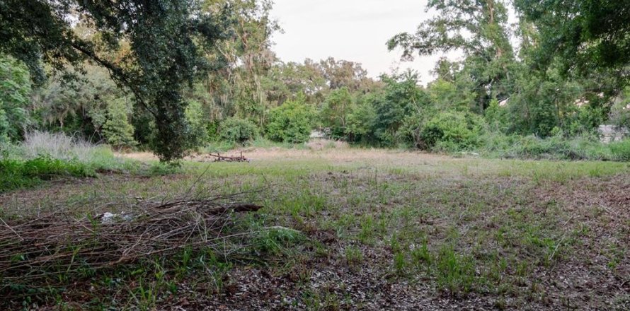 Land in Thonotosassa, Florida № 2219168