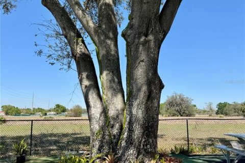 Casa en venta en Avon Park, Florida, 3 dormitorios, 223.06 m2 № 1572182 - foto 7