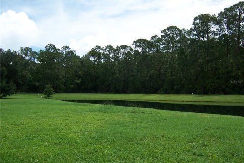 Villa ou maison à vendre à Windermere, Floride: 4 chambres, 249.54 m2 № 2430834 - photo 9