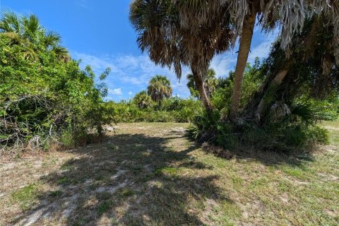 Terrain à vendre à Rotonda, Floride № 2383797 - photo 6