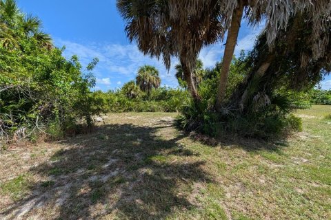 Terrain à vendre à Rotonda, Floride № 2383797 - photo 5
