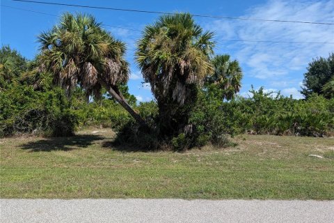 Terrain à Rotonda, Floride № 2383797