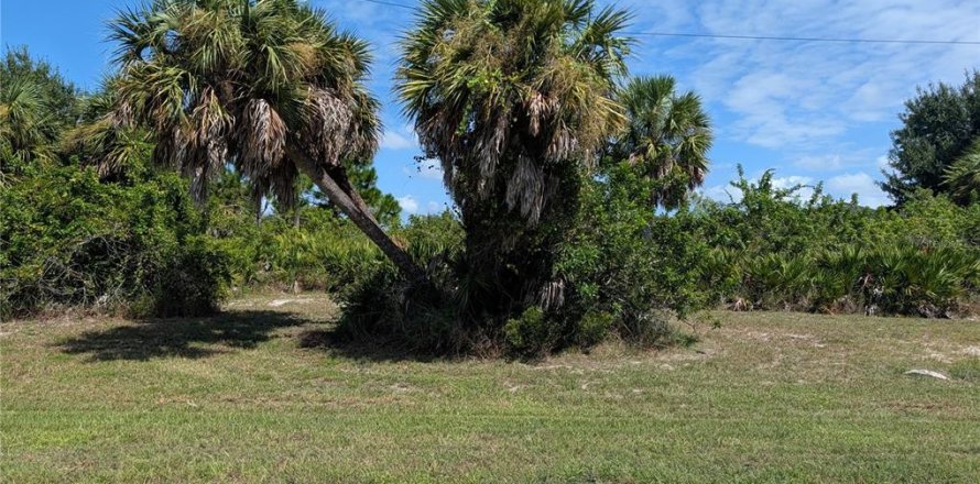 Terrain à Rotonda, Floride № 2383797