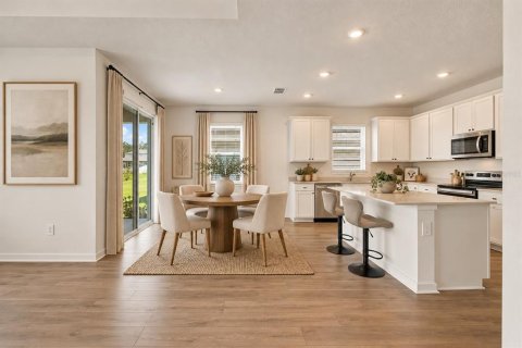 Villa ou maison à vendre à Thonotosassa, Floride: 4 chambres, 171.78 m2 № 2430467 - photo 3