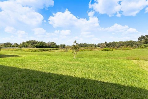 Villa ou maison à vendre à Thonotosassa, Floride: 4 chambres, 171.78 m2 № 2430467 - photo 29