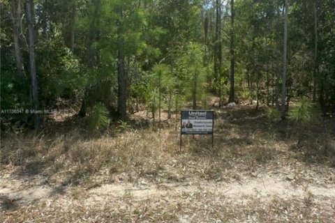 Land in Naples, Florida № 1748729 - photo 3