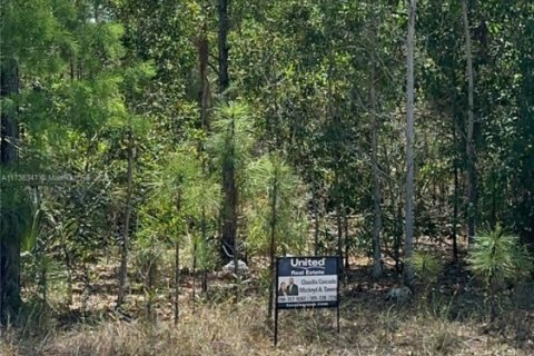 Land in Naples, Florida № 1748729 - photo 5