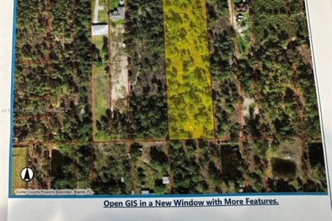 Land in Naples, Florida № 1748729 - photo 1