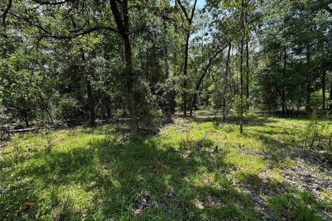 Terrain à vendre à Williston, Floride № 2231609 - photo 5