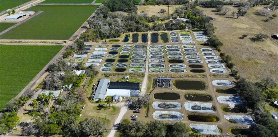 Commercial property in Wimauma, Florida 278.71 sq.m. № 2206142
