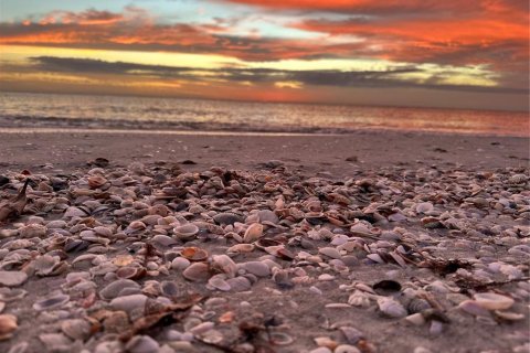 Condo in Longboat Key, Florida, 2 bedrooms  № 1833296 - photo 27