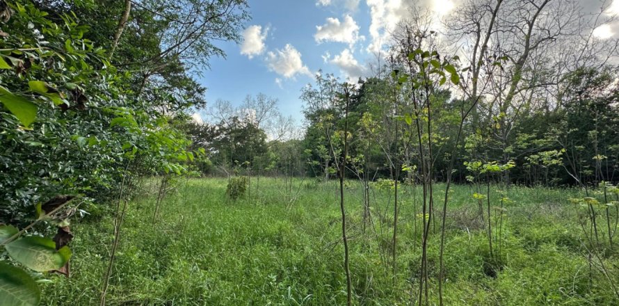 Land in Crestview, Florida № 560723