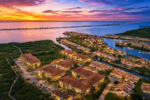 Condo in Tampa, Florida, 1 bedroom № 2097462