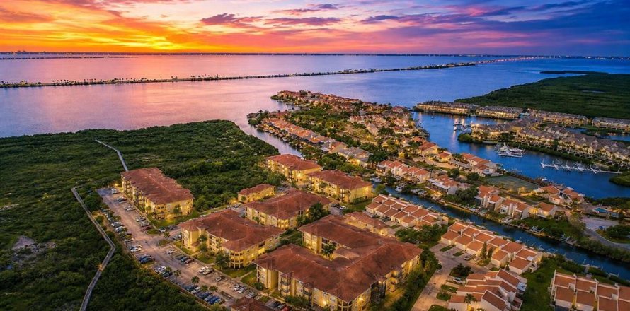 Condo in Tampa, Florida, 1 bedroom  № 2097462