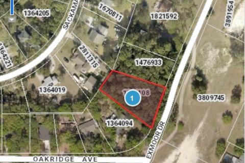 Terreno en venta en Sorrento, Florida № 1638163 - foto 1