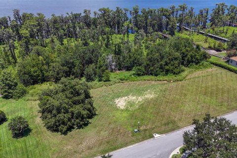 Land in Clermont, Florida № 1796060 - photo 14
